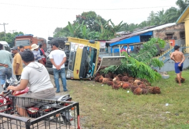 Supir Hilang Kendali Truck Pengangkut Kelapa Sawit Terguling 