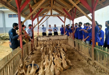 Kejar Target PNBP Napi Lapas Way Kanan Diberi Pelatihan Budidaya Itik Petelor