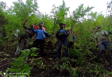 BNNK Karo Temukan 41 Pokok Pohon Ganja Tak Bertuan