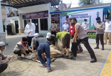 Idul Adha 1442 H Polres Tanah Karo Potong 1 Sapi dan 5 Kambing