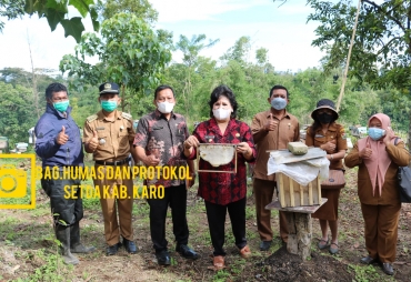 Bupati Karo Panen Madu di Desa Selandi