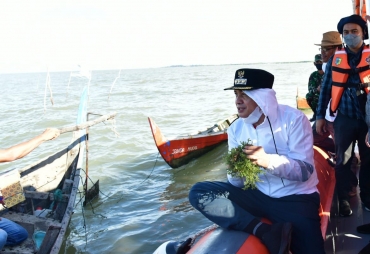 Dukung Budidaya Rumput Laut Zahir : Ini Peluang Yang Sangat Menjanjikan