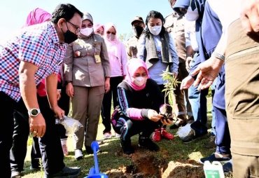 Nawal Lubis Tanam 1.200 Pohon Andaliman di Karo Secara Simbolis