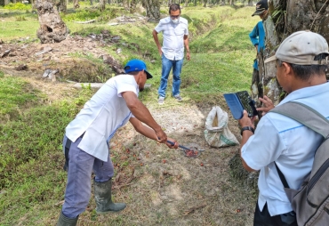 PTPN III Kebun Sei Silau Lakukan Uji Coba Alat Pengutip Brondolan