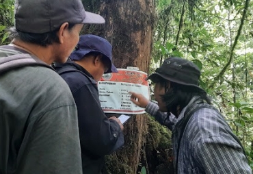 Salah satu kegiatan pengukuran pohon untuk mengetahui kandungan karbon pada program REDD+ (Foto : Ist)