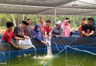 Sri Kustina dan Bupati PALI Panen Raya Ikan Lele