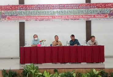 DTPHP Bengkulu : Permintaan Benih Sawit Varietas Simalungun Cukup Tinggi