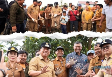 Bupati dan Wabup Karo Panen Perdana Kentang Hasil Bumdes Gegeh Persada Desa Sukanalu