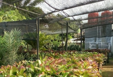 Taman yang sudah dibuat sejak tahun lalu