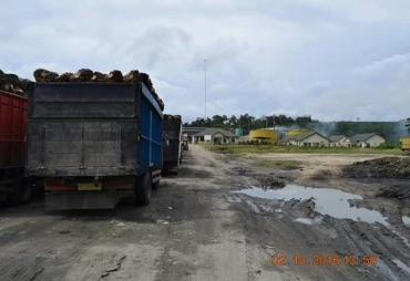 Tampak Lokasi Pabrik 