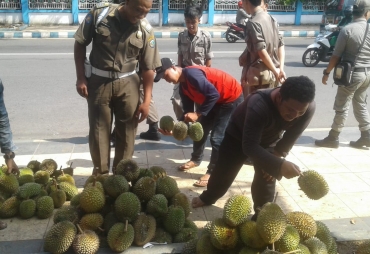 Tampak Satpol PP Kota Bengkulu Menertibkan Pedagang Durian