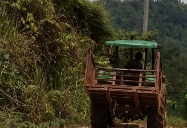 Tampak Jonder Melintasi Jalan