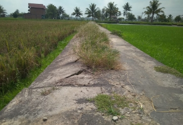 Kondisi Jalan