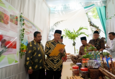 Tampak