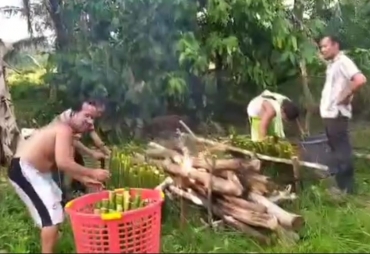 Antusias Sambut Gubernur Rohidin Desa Selagan Raya Sajikan 2000 Batang Lemang