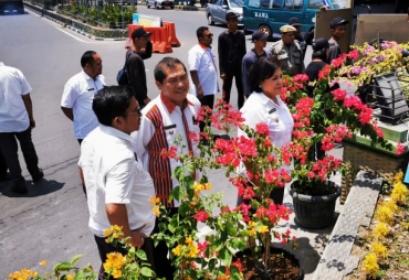 Sambut HUT Karo Personil Satpol PP Gotong-royong Tata Bunga Bugenvil