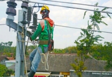 Petugas PLN
