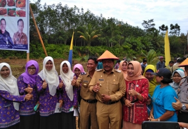 Tampak Bupati BU Ir.Mian Menghadiri Panen Raya